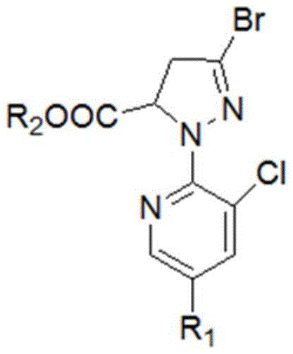 General structural formula of the 3-bromo-1-(3-chloro-2-pyridyl)-4,5-dihydro-1H-pyrazole-5-carboxylic ester intermediate