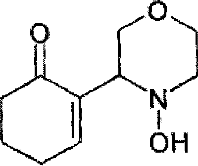 Chemical structure of BTG-1675A showing the cyclohexenone ring fused with the morpholine moiety