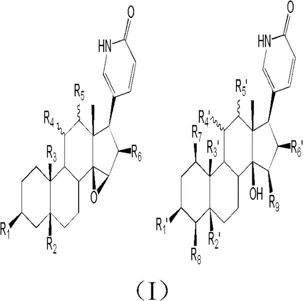 General structural formula of bufolactam compounds showing the core steroid scaffold and lactam ring modification