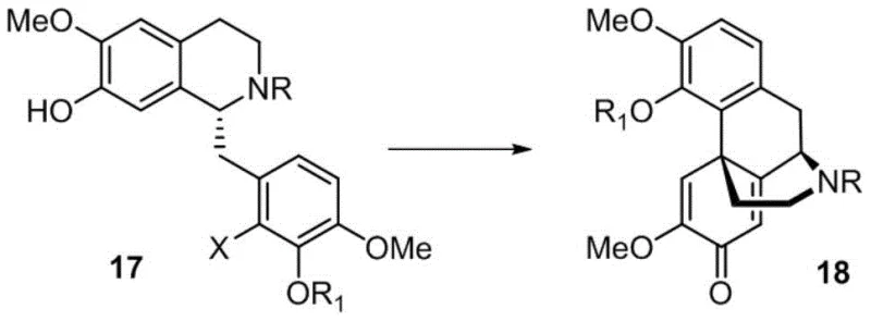Intramolecular oxidative dearomatization Heck reaction converting compound 17 to 18