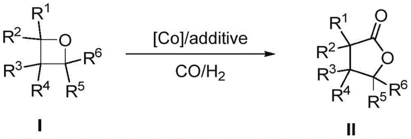 General reaction scheme showing the conversion of oxetane compounds to butyrolactones via cobalt-catalyzed carbonylation