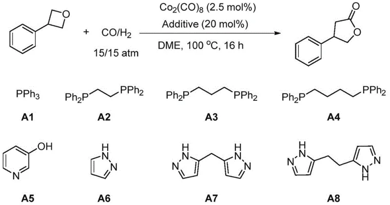 Reaction scheme demonstrating the cobalt-catalyzed carbonylation of oxetanes under syngas (CO/H2) atmosphere