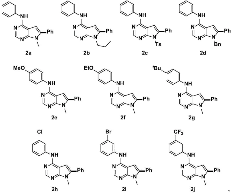 Substrate scope showing diverse R groups tolerated in the synthesis