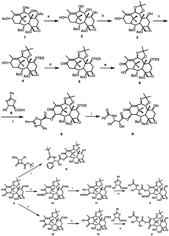 General synthesis route for C-13 and C-14 modified paclitaxel compounds from 1-dehydroxybaccatine VI