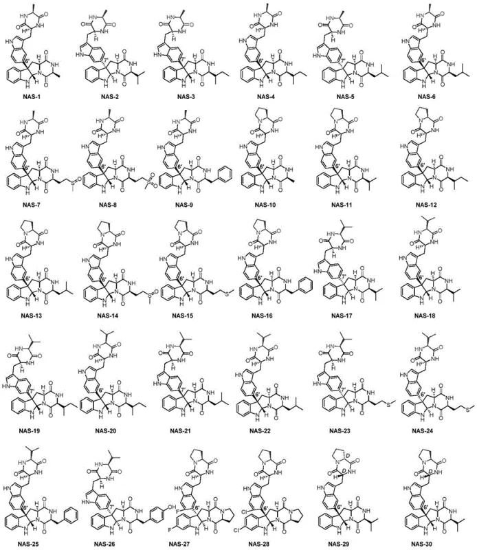 Structural diversity of C3-aromatic pyrroloindole alkaloids NAS-1 to NAS-30 synthesized via enzymatic catalysis