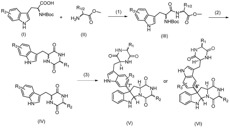 General synthetic route for C3-aromatic pyrroloindole alkaloids using nascB-P450 whole-cell catalysis