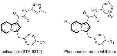 Biological activity of indolizine derivatives including anticancer and phosphodiesterase inhibitors