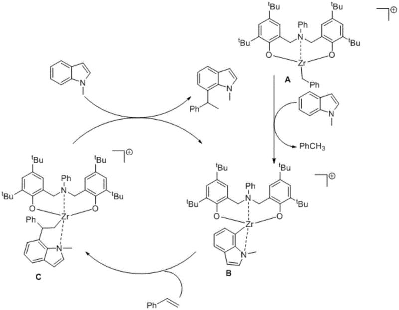 Proposed catalytic cycle mechanism for the C7 alkylation reaction