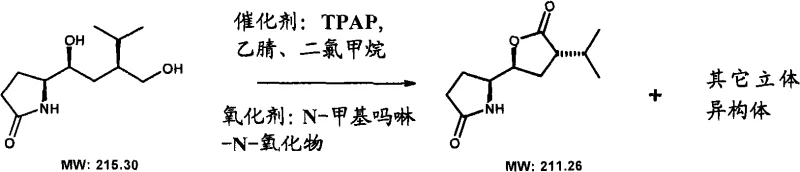 Oxidation and cyclization to form lactam-lactone from Example 8