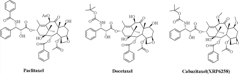 Structural comparison of Paclitaxel, Docetaxel, and Cabazitaxel showing key methoxy modifications