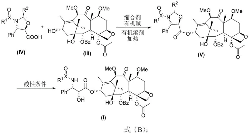 Synthesis route for cabazitaxel precursor derivatives via condensation and hydrolysis