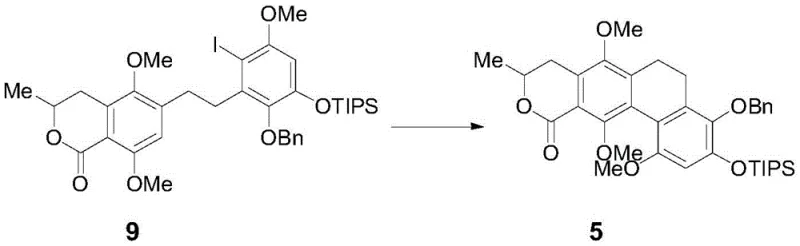 Intramolecular radical cyclization step converting compound 9 to compound 5 under UV irradiation