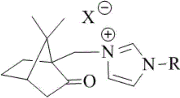 General structural formula of camphorylimidazole type ionic liquid showing the camphor backbone and imidazolium ring