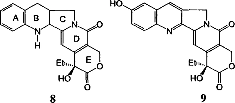 Reaction scheme showing hydrogenation of camptothecin to tetrahydro-intermediate 8 and subsequent oxidation to 10-hydroxycamptothecin 9
