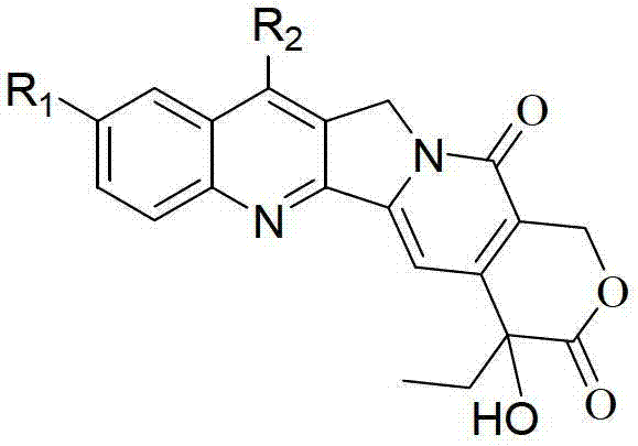 General chemical structure of Camptothecin and its analogues (Formula I) showing variable R1 and R2 substituents