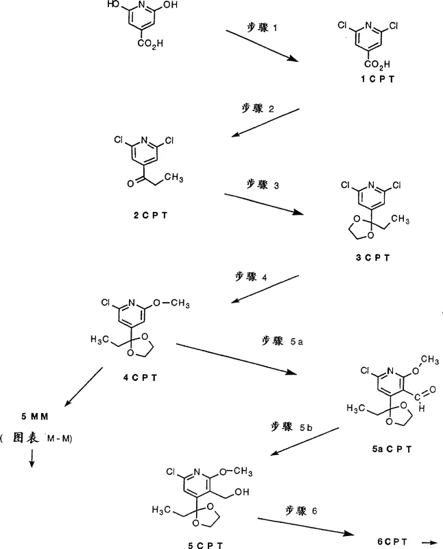 General synthetic route for Camptothecin derivatives starting from Citrazinic acid showing key intermediates 1CPT through 6CPT