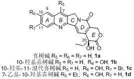 General structure of Camptothecin showing the five-ring system including quinoline, pyrrole, pyridone, and lactone rings
