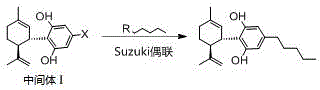 General reaction scheme showing the synthesis of Cannabidiol via Intermediate I or III and Suzuki coupling