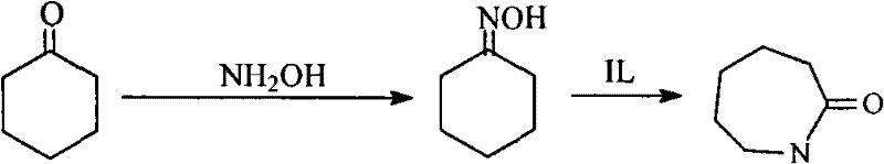 Reaction scheme showing cyclohexanone conversion to cyclohexanone oxime and subsequent ionic liquid catalyzed rearrangement to caprolactam