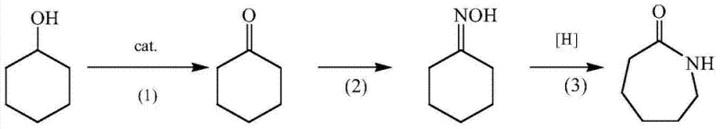 Integrated one-step synthesis pathway from cyclohexanol to caprolactam via oxidation, oximation, and rearrangement