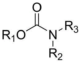 General chemical structure of carbamate compounds showing R1, R2, and R3 substituents