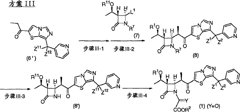 Scheme III detailing the coupling and cyclization mechanism