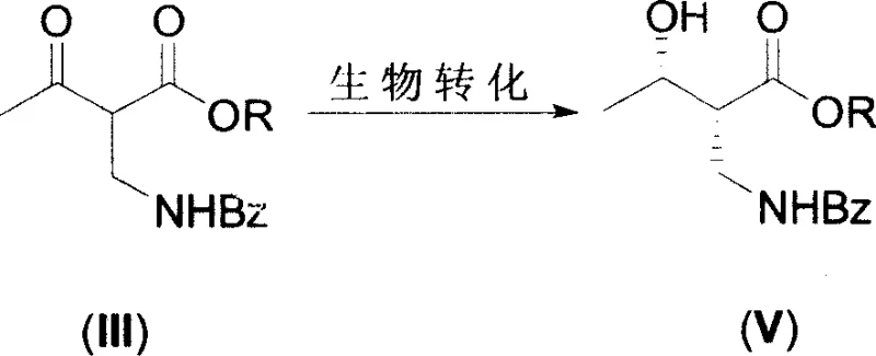 Comparison of background biotransformation pathways versus the novel selective reduction