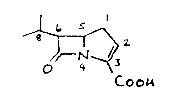 General Formula I of the carbapenem compound showing the core beta-lactam structure and variable substituents
