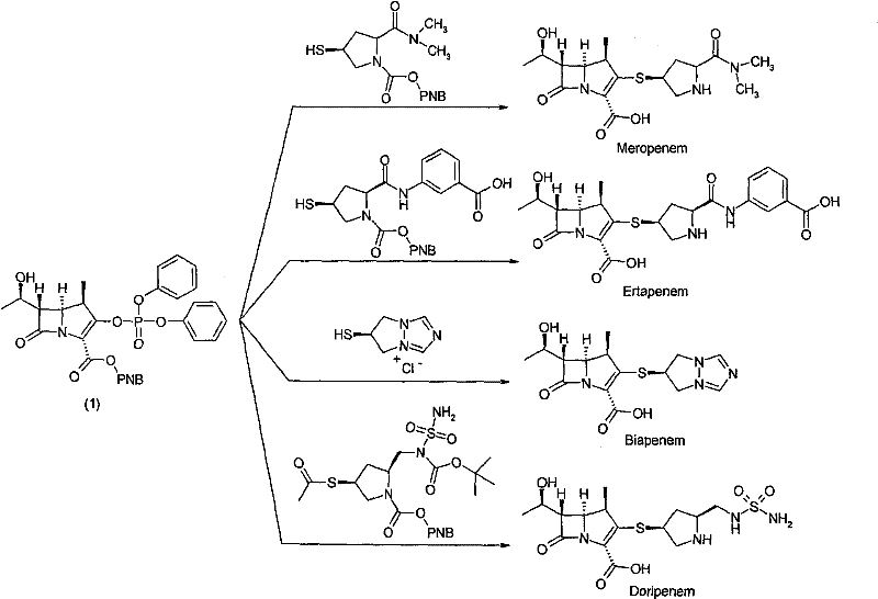 Chemical structures of Meropenem, Ertapenem, Biapenem, and Doripenem derived from the common bicyclic mother nucleus (1)