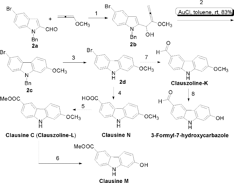 Overall synthetic route showing the conversion of indole aldehyde to various carbazole alkaloids via key intermediates
