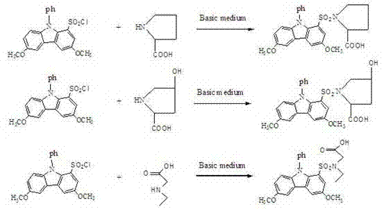 Reaction scheme showing the derivatization of the carbazole sulfonyl chloride with amino acids to form stable fluorescent sulfonamides