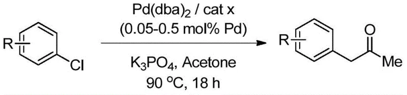 Reaction scheme showing Pd-catalyzed alpha-monoarylation of acetone using the novel ligands
