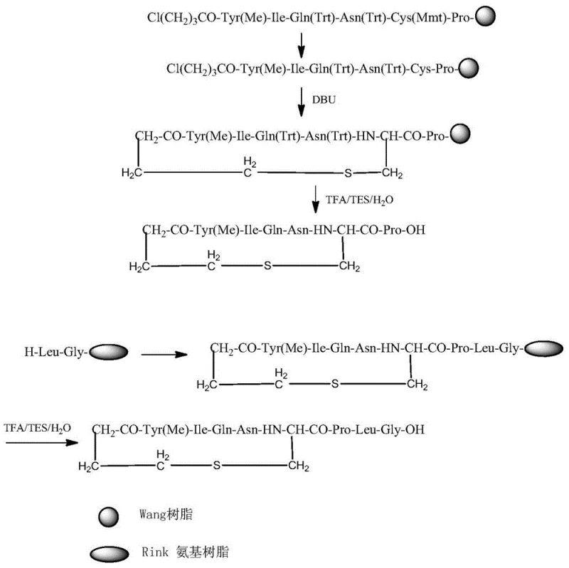 Reaction scheme showing the solid-phase synthesis of cyclic heptapeptide fragment and final coupling to dipeptide