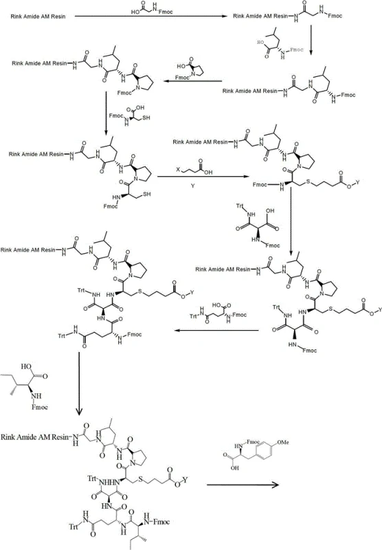 Synthetic route scheme showing sequential coupling on Rink Amide Resin and solid-phase cyclization