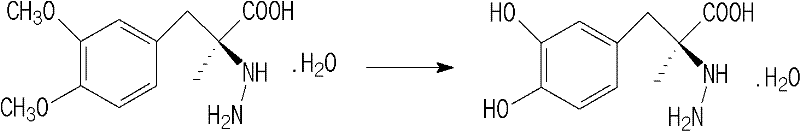 Chemical reaction showing the hydrolysis of dimethyl-carbidopa to carbidopa, illustrating the source of crude material and potential impurity formation pathways.