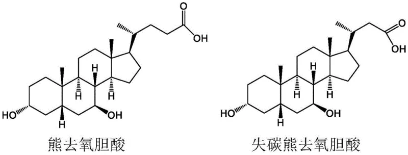 Structural comparison showing the conversion of ursodeoxycholic acid to nor-ursodeoxycholic acid via side chain degradation
