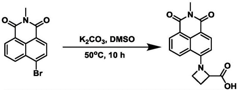 Reaction scheme showing nucleophilic substitution of N-methyl-4-bromo-1,8-naphthalimide with azetidine-2-carboxylic acid