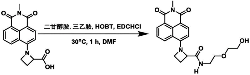Amidation reaction scheme converting the intermediate to the final fluorescent dye using EDC and HOBt