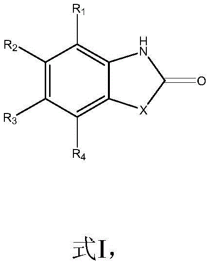 General structure of carbonyl heterocyclic compounds (Formula I) produced via the novel CO2 fixation method