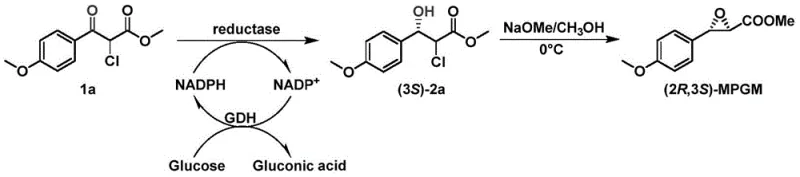 Reaction scheme showing the asymmetric reduction of substrate 1a to (3S)-2a by carbonyl reductase and subsequent epoxidation to (2R,3S)-MPGM