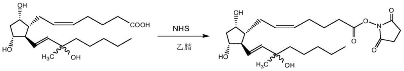 Reaction scheme showing Carboprost activation with CDI and NHS to form the active ester