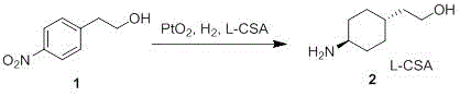 Detailed reaction scheme for the hydrogenation step showing catalyst and additive usage