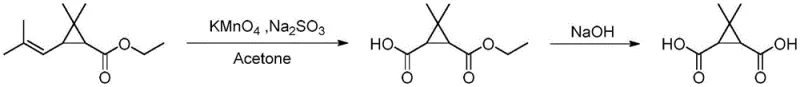 Conventional synthesis route of caronic acid using ethyl chrysanthemate and acetone