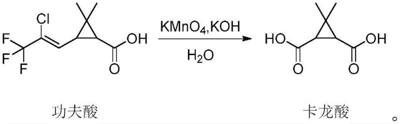 Reaction scheme showing oxidative cleavage of kungfu acid to caronic acid using KMnO4 in water