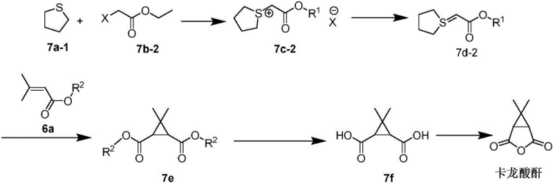 Novel 5-step synthesis route for Caronic Anhydride avoiding strong oxidants