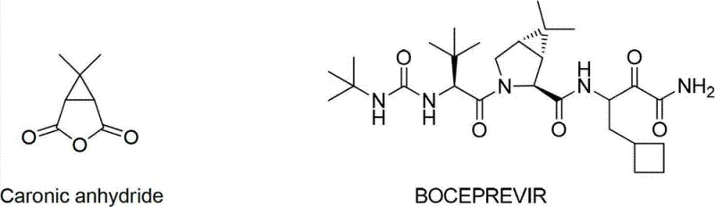 Chemical structures of Caronic anhydride and its downstream application in Boceprevir