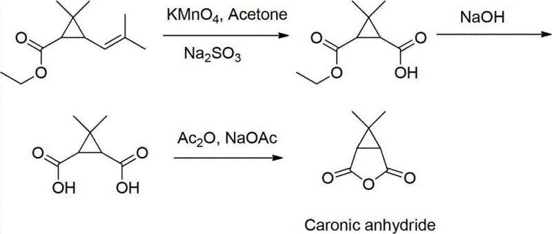 Conventional synthesis route of Caronic anhydride using ethyl chrysanthemate and KMnO4