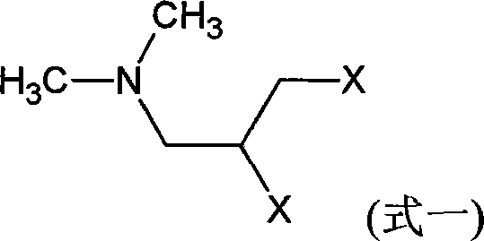 Structure of the starting material 1-N,N-dimethyl-2,3-dihalopropylamine used in the novel synthesis