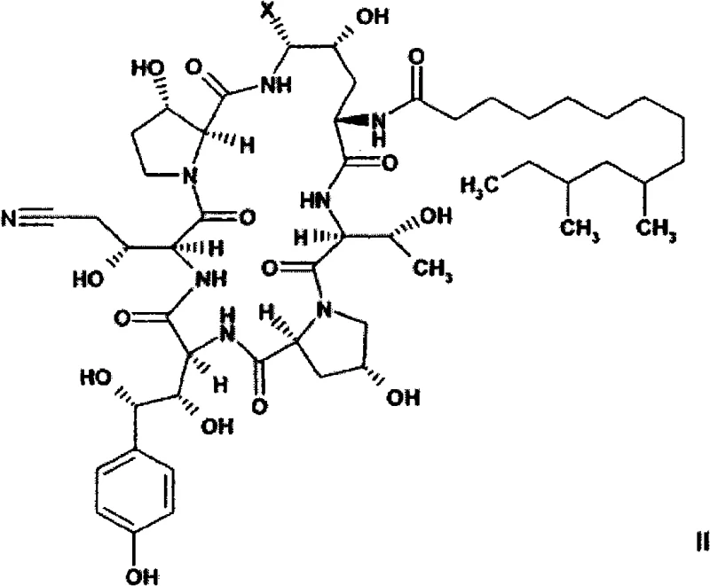 Structure of Formula II nitrile intermediate key to the high yield reduction process