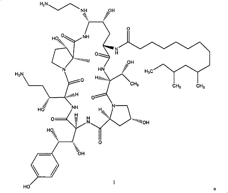Chemical structure of Caspofungin (Formula 1) showing the complex echinocandin core